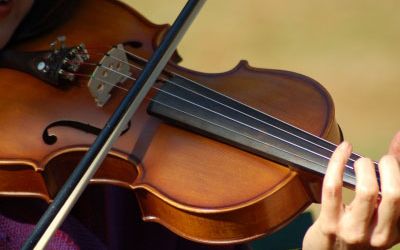 Leisure Violin Lessons
